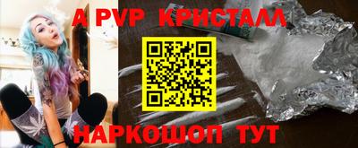 дурь Кингисепп